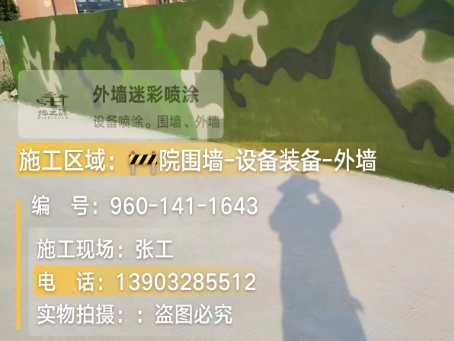 丰台 迷彩漆喷涂价格（按平方米计费）